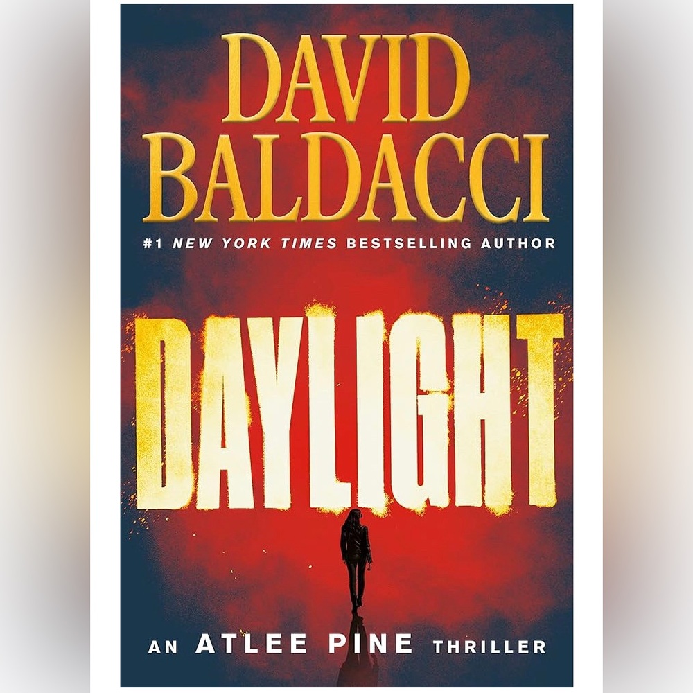 5for$20📗Book - Daylight - a novel by David Baldacci